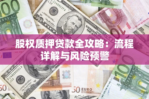 北京股权质押贷款全攻略：流程详解与风险预警