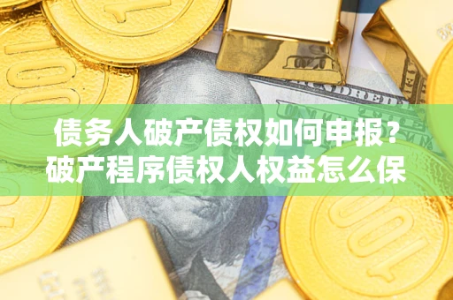 北京债务人破产债权如何申报？破产程序债权人权益怎么保障？