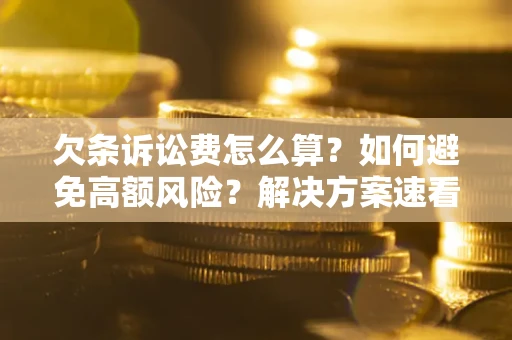 北京欠条诉讼费怎么算？如何避免高额风险？解决方案速看！