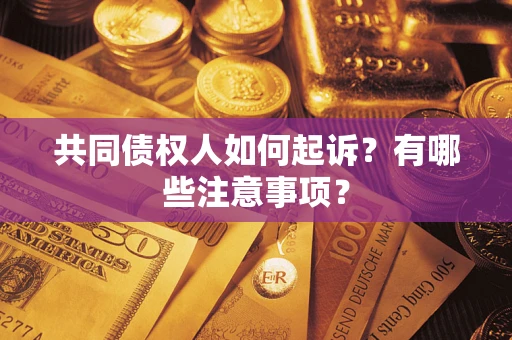 北京共同债权人如何起诉？有哪些注意事项？
