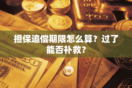 北京担保追偿期限怎么算？过了能否补救？